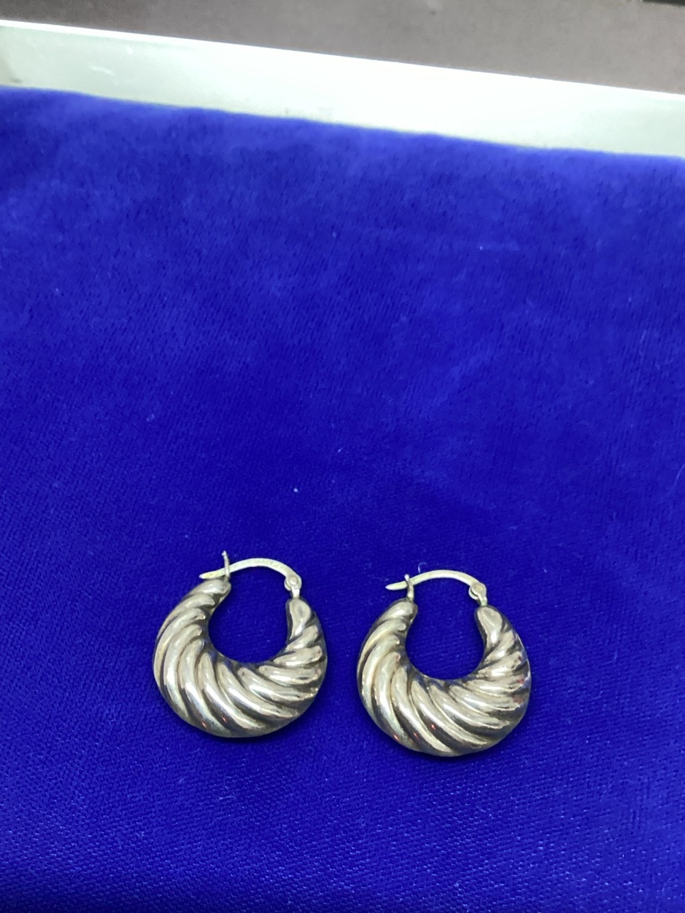Sterling Silver Twisted Hoop Earrings - Silver